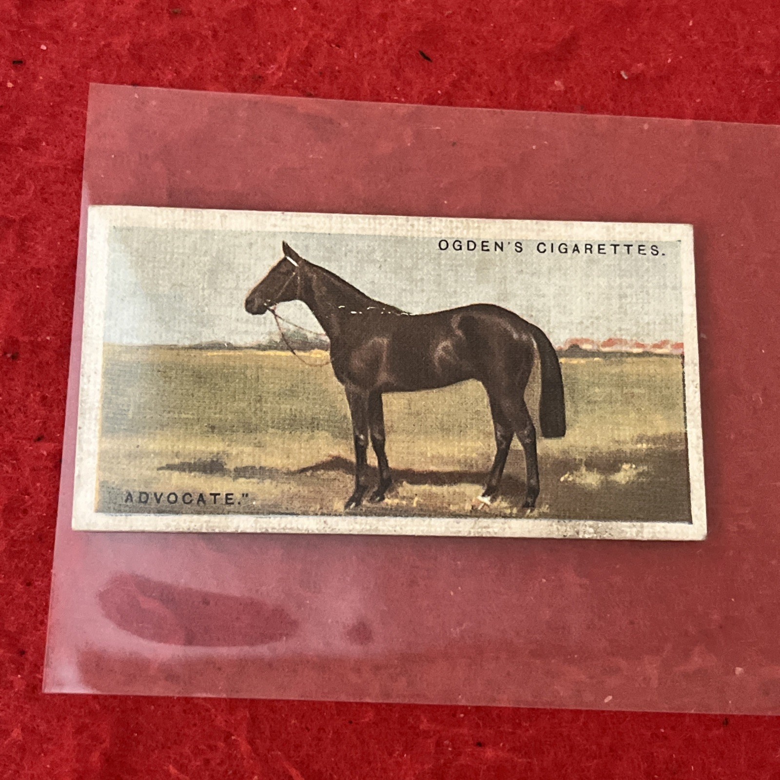 1928 Ogden’s “Derby Entrants 1928” ADVOCATE Race Horse Tobacco Card #1 G-G+