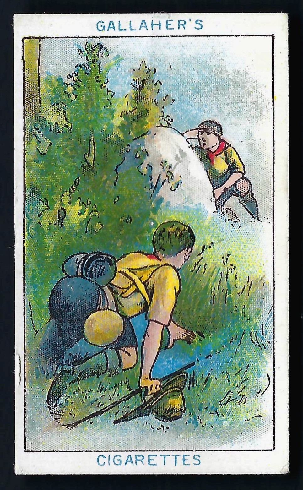 GALLAHER – BOY SCOUTS (BROWN) – PICK THE CARDS YOU NEED