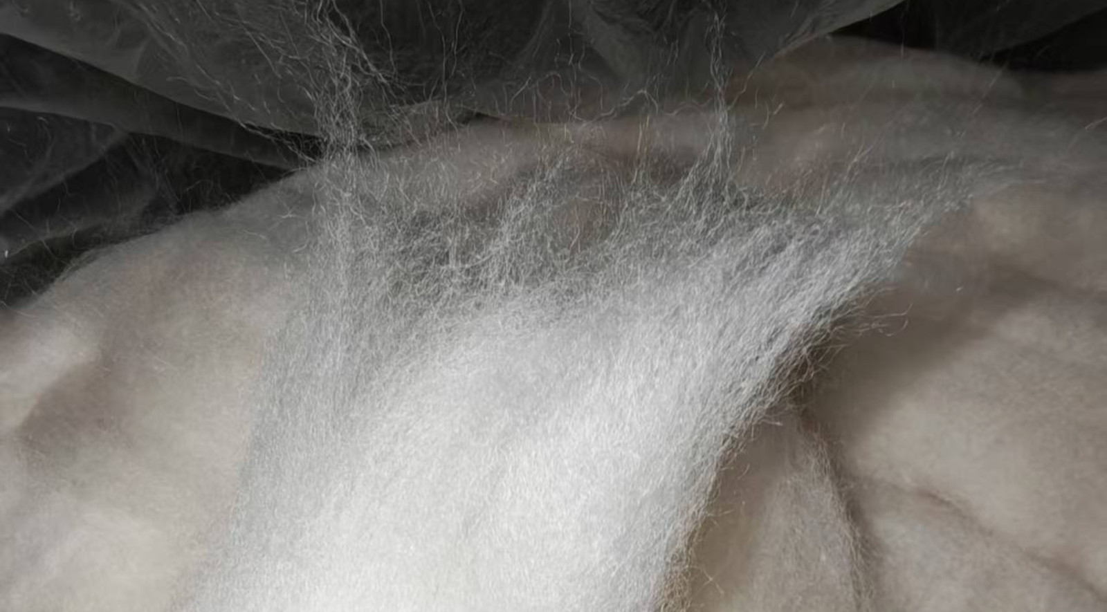 Real Mongolian Camel Hair. Best Wadding for all Kerosene Lighters!