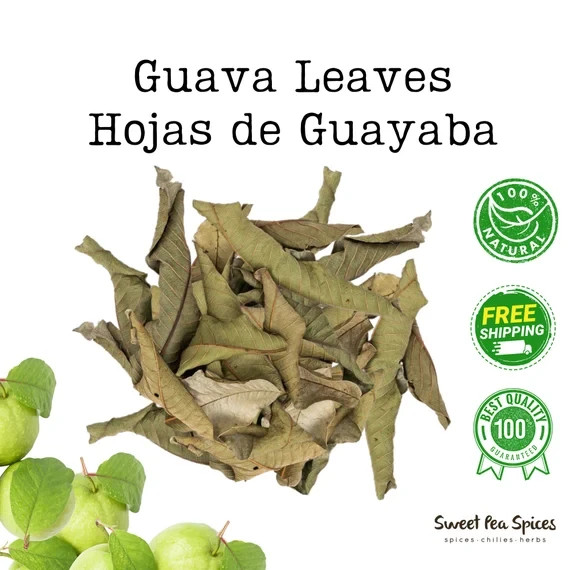 Premium Dried Guava 100 Leaves Hojas De Guayaba Leaf 100% Organic from Sri Lanka