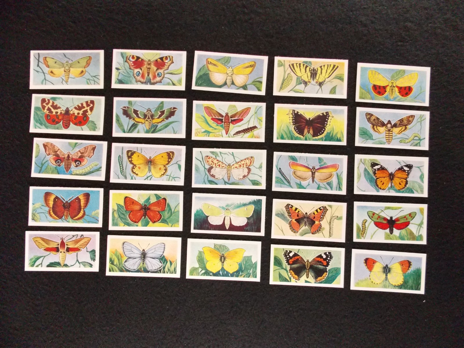 Mills Amalgamated Cigarette Cards Butterflies & Moths 1957 Complete Set 25