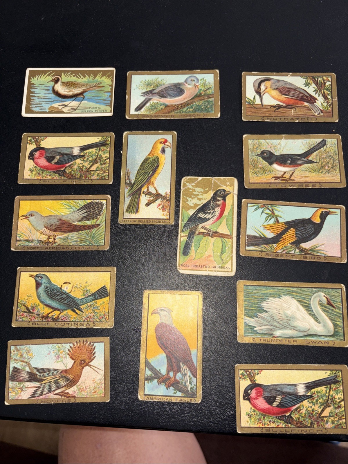 Lot 14 Bird Series Cards (one dupe)T42 ATC Sweet Caporal Cigarettes Tobacco 1910