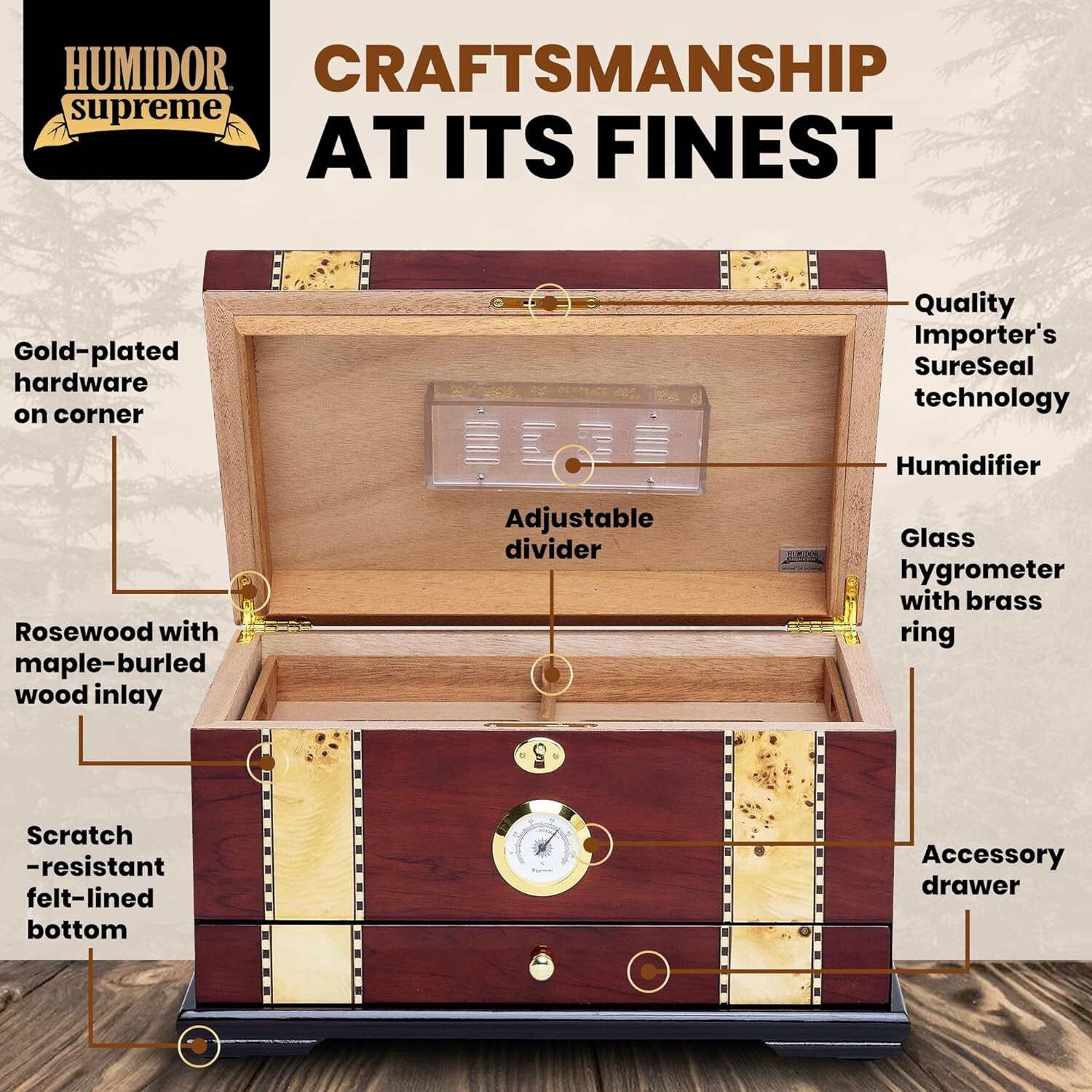 Solana Desktop Cigar Humidor, Rosewood W/ Maple-Burled Wood Inlay, Spanish Cedar