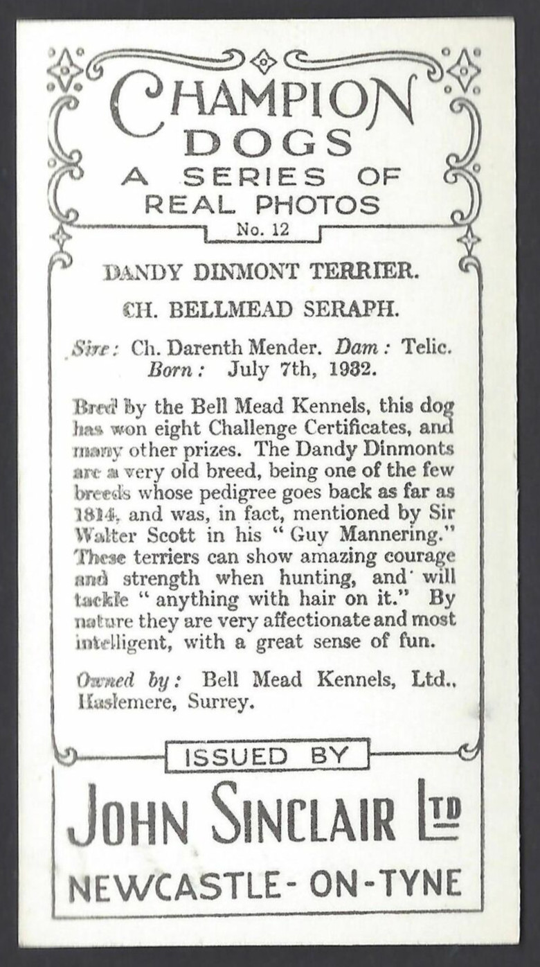 SINCLAIR (J) – CHAMPION DOGS, 1ST – #12 DANDY DINMONT TERRIER