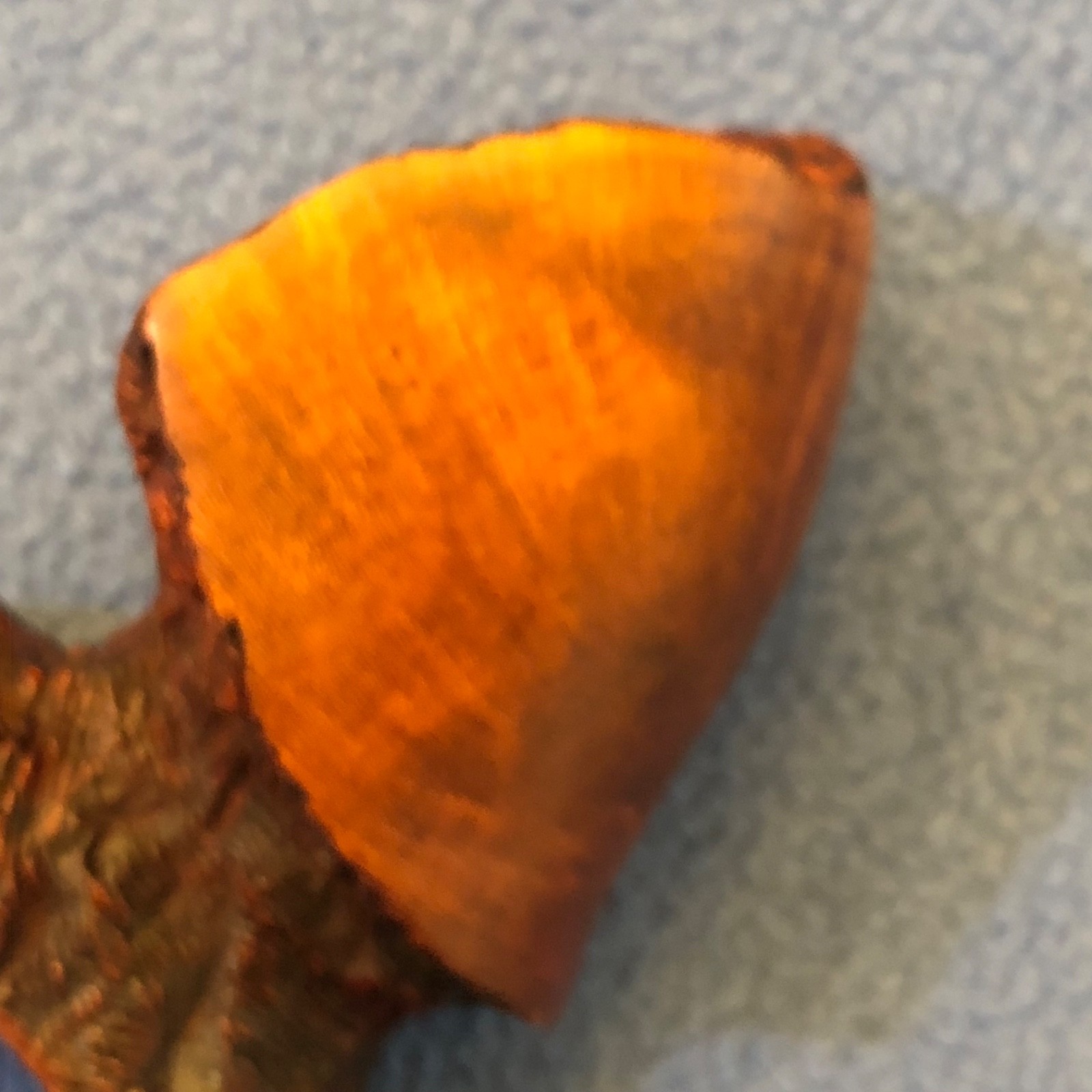 Magnificent KERRY WATHEN 77-1 Freehand American Pipe