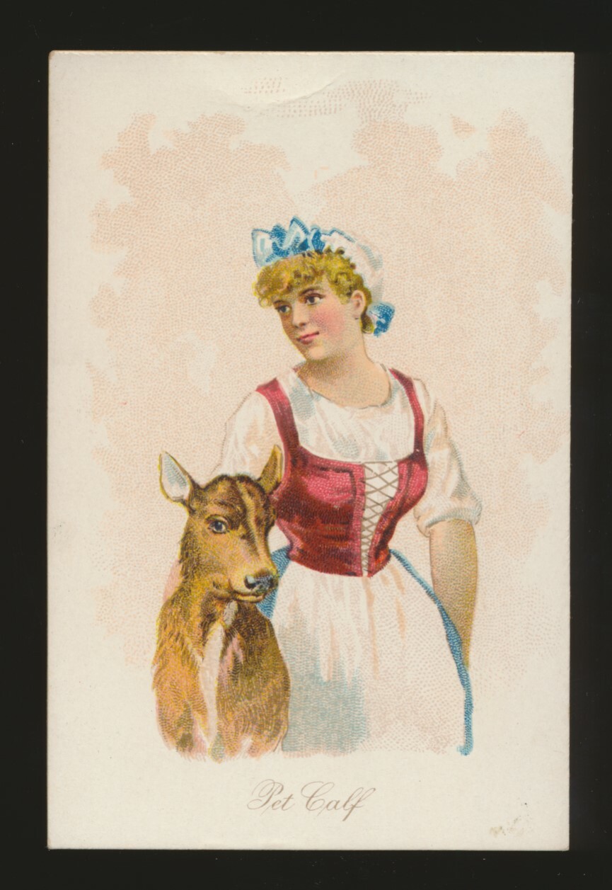 1891 N191 Wm. Kimball & Co (ATC) HOUSEHOLD PETS -Pet Calf