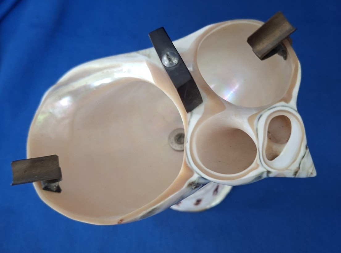 Vintage Carved Mother Of Pearl Nautilus Shell Ashtray Match Holder c1930’s