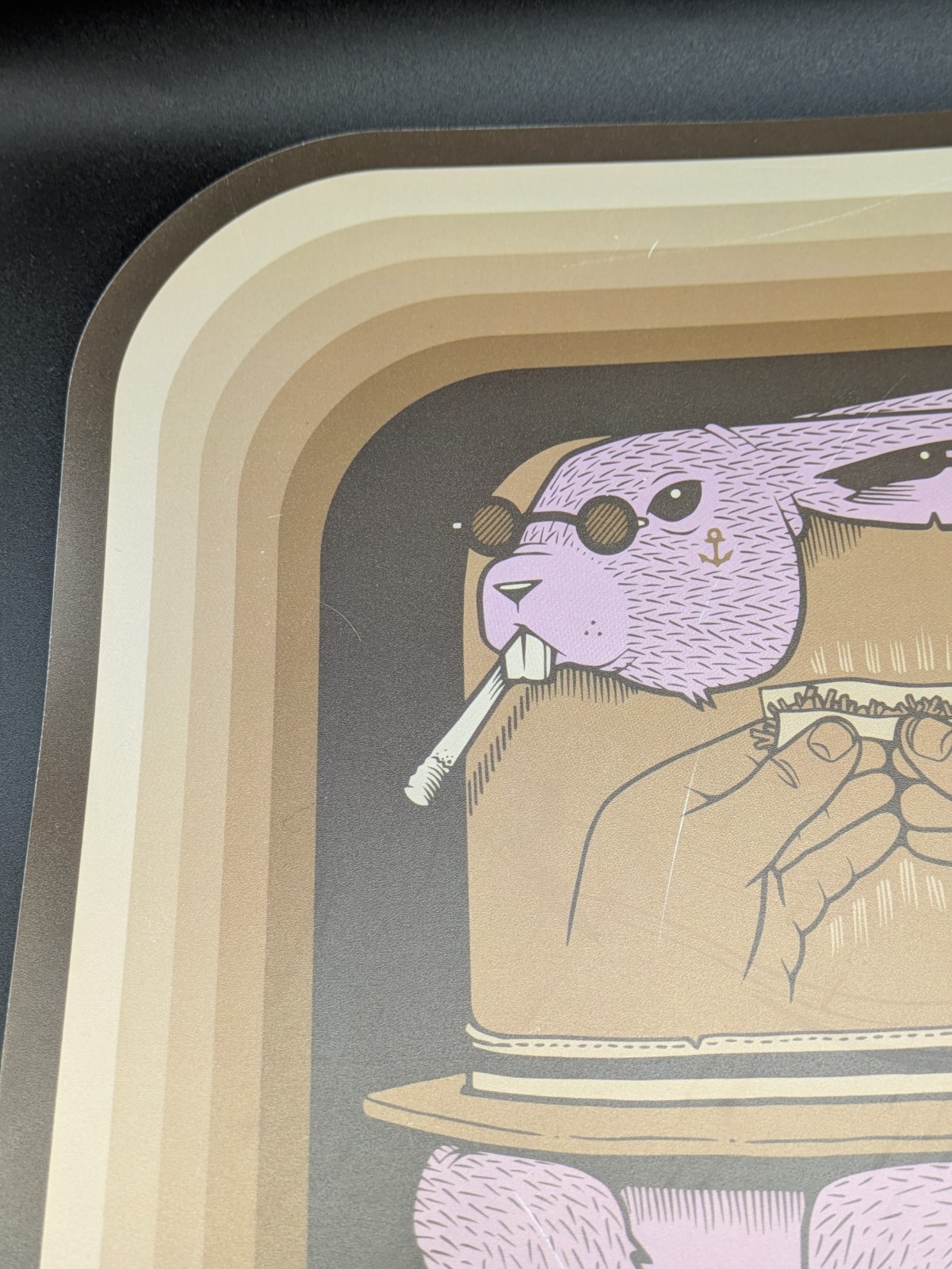 RAW Artist Series Rolling Tray Cover Jeremy Fish Limited Edition Magnetic Art