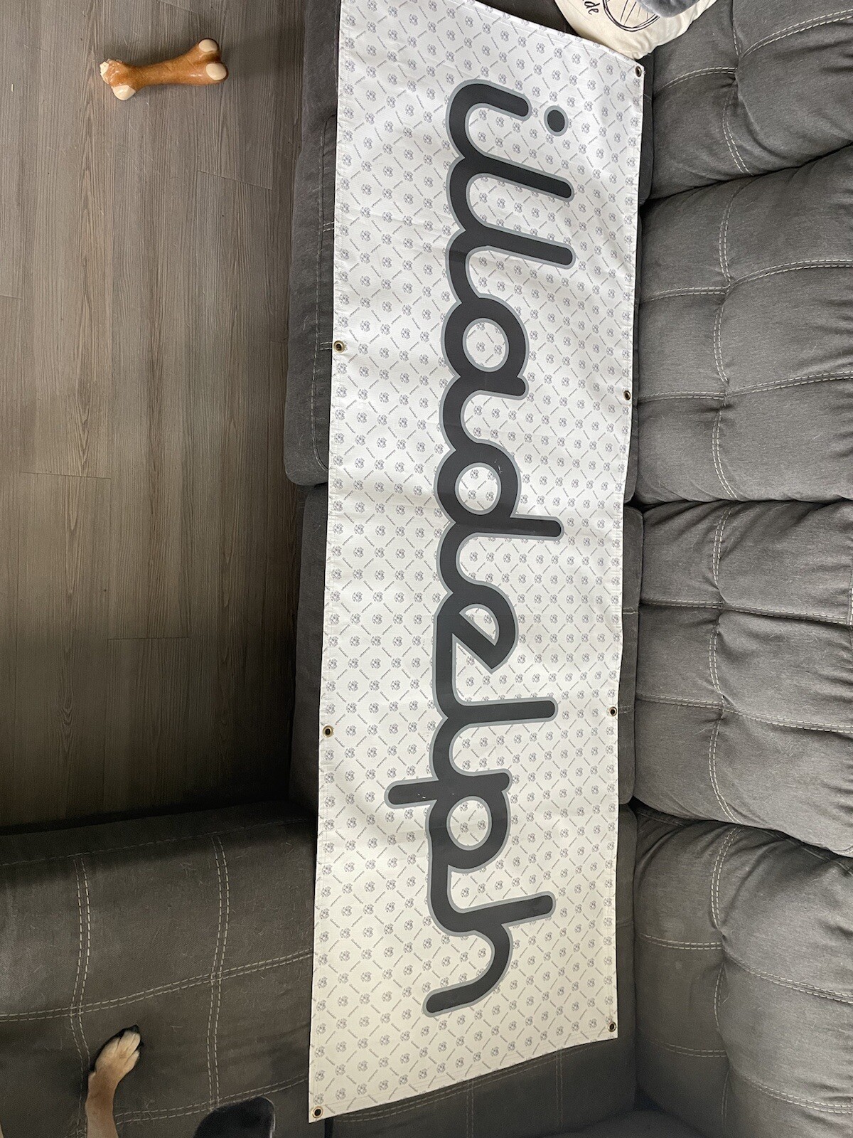 Illadelph Banner