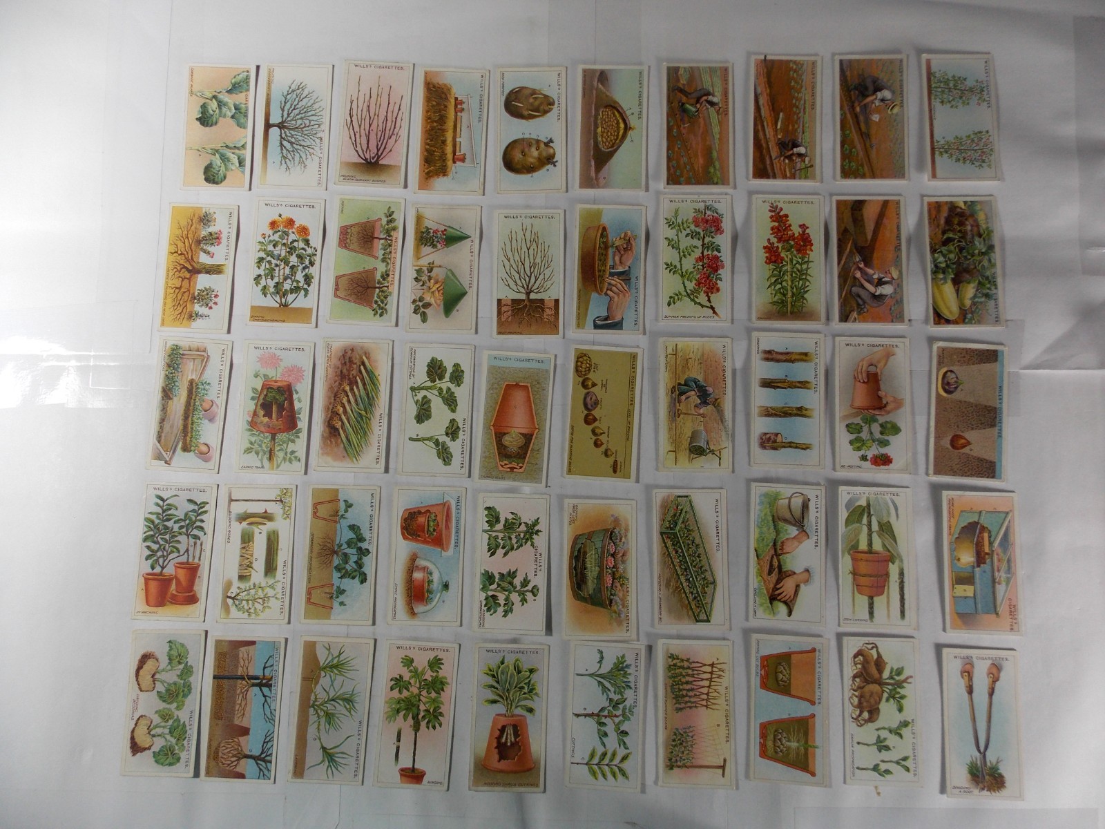 Wills Cigarette Cards Gardening Hints 1923 Complete Set 50
