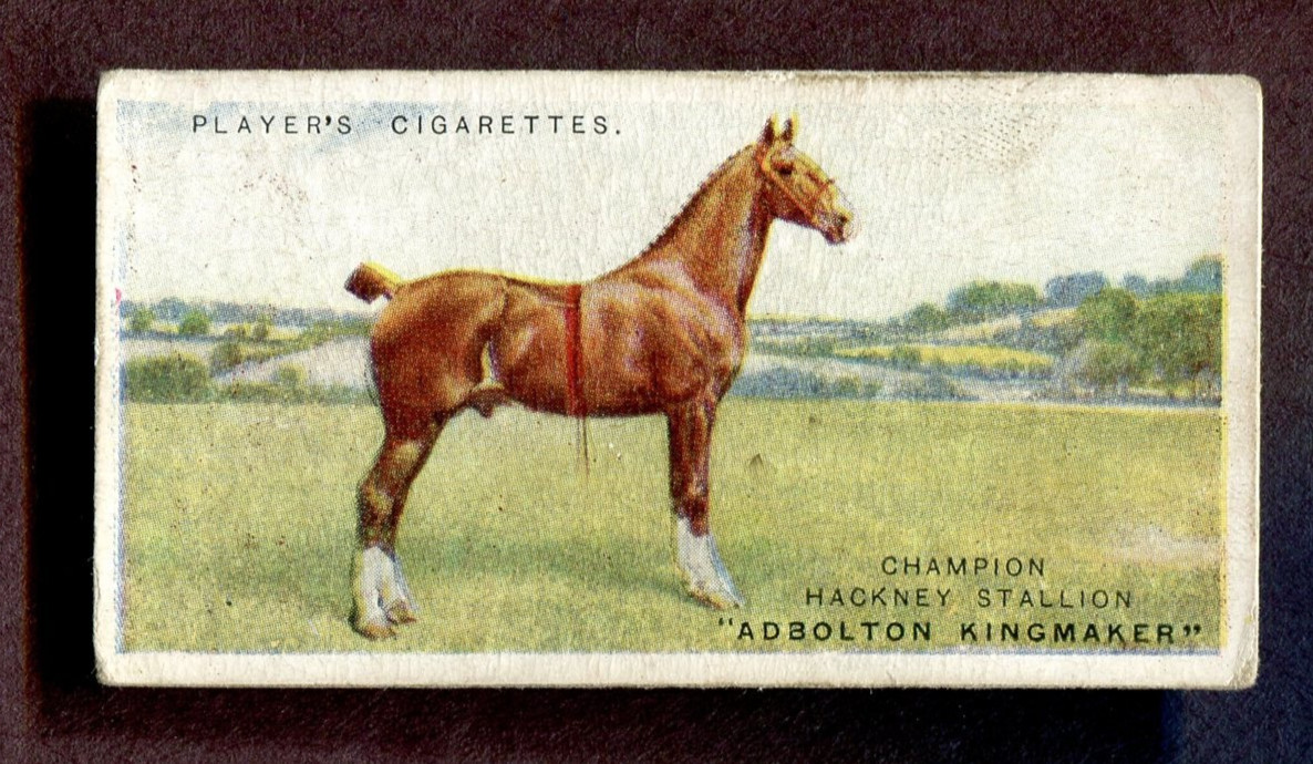 1915 JOHN PLAYER & SONS BRITISH LIVESTOCK TOBACCO CARD #12 THE HACKNEY HORSE
