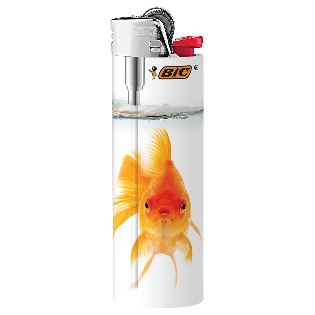 BIC Special Edition What’s Inside Series Pocket Lighters, Set of 8 Lighters