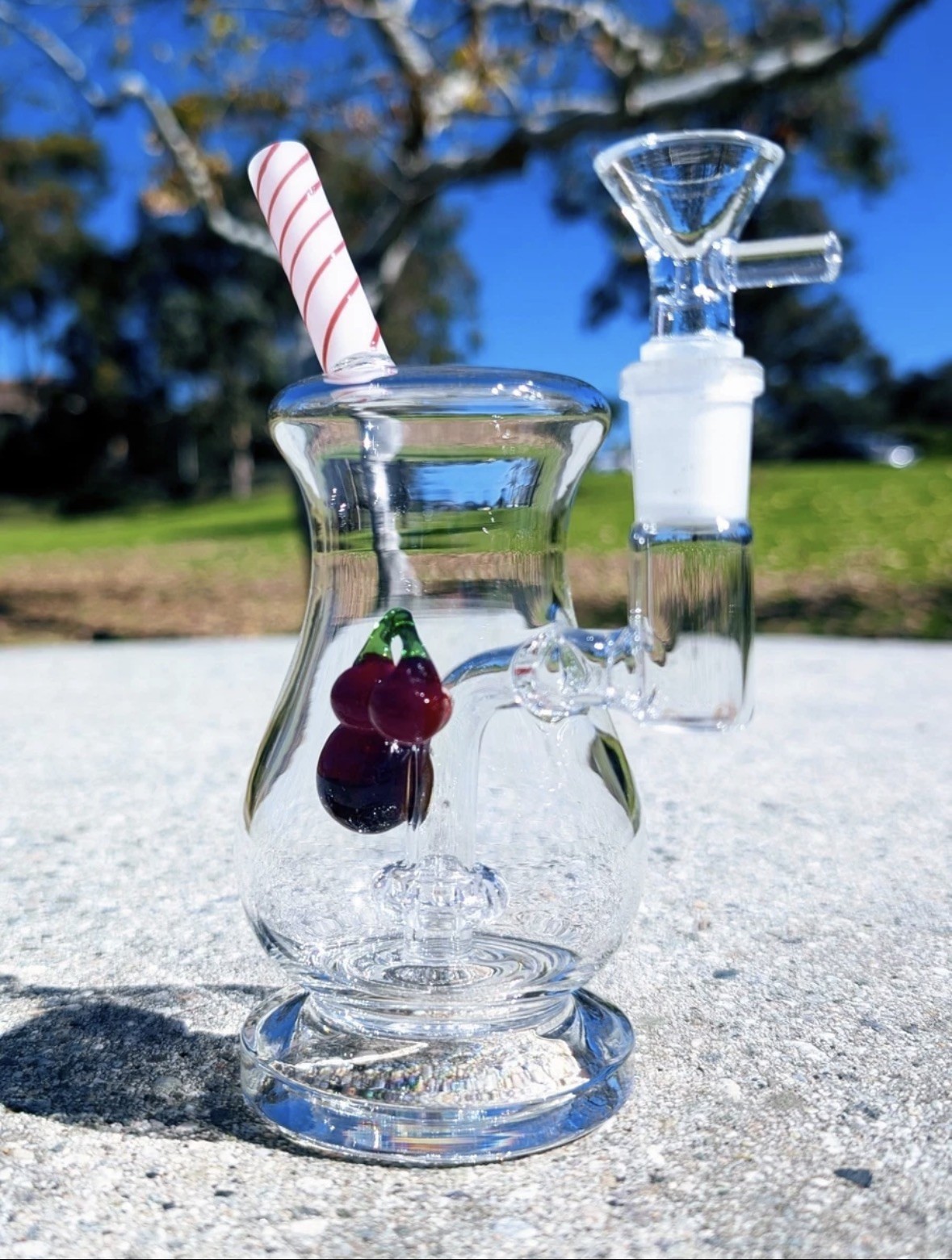 7″ Cute Cherry Float Bong Showerhead Perc Premium Quality Water Pipe Hookah