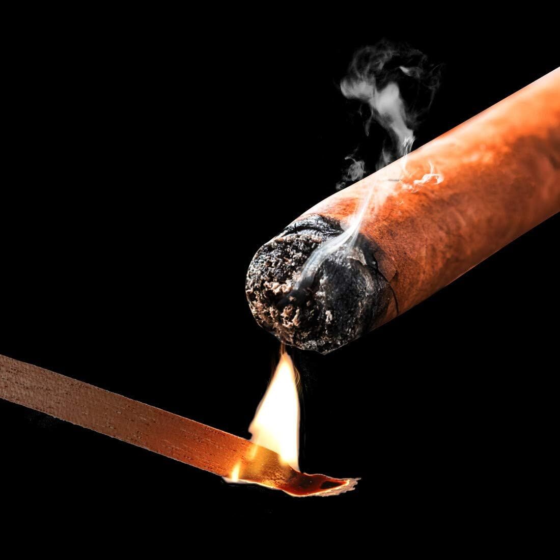 Woho 120 Packs Spanish Cedar Cigar Lighter Cedar Wood Spills Strips Sticks, Ciga