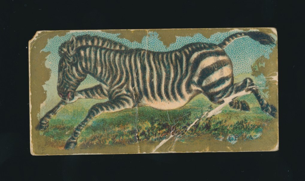 1890 N216 Kinney Bros. Cigarettes ANIMALS -BLACK LEOPARD