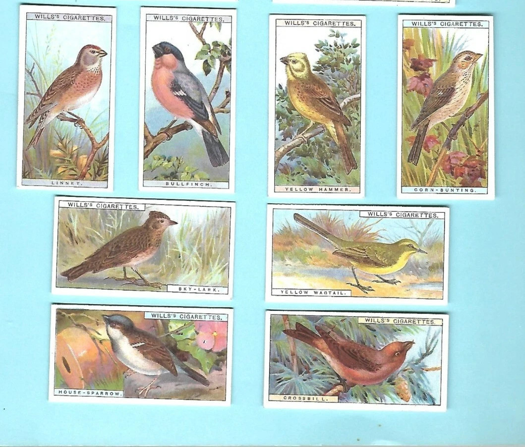 1917 W. D. & H. O. WILLS BRITISH BIRDS 50 TOBACCO CARD SET