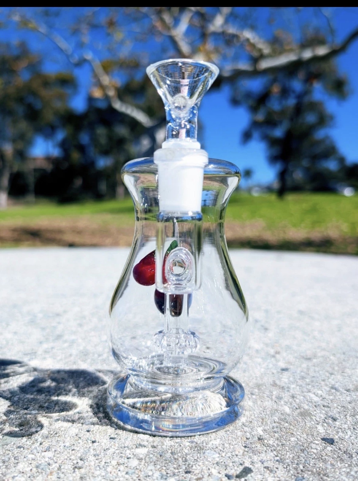 7″ Cute Cherry Float Bong Showerhead Perc Premium Quality Water Pipe Hookah