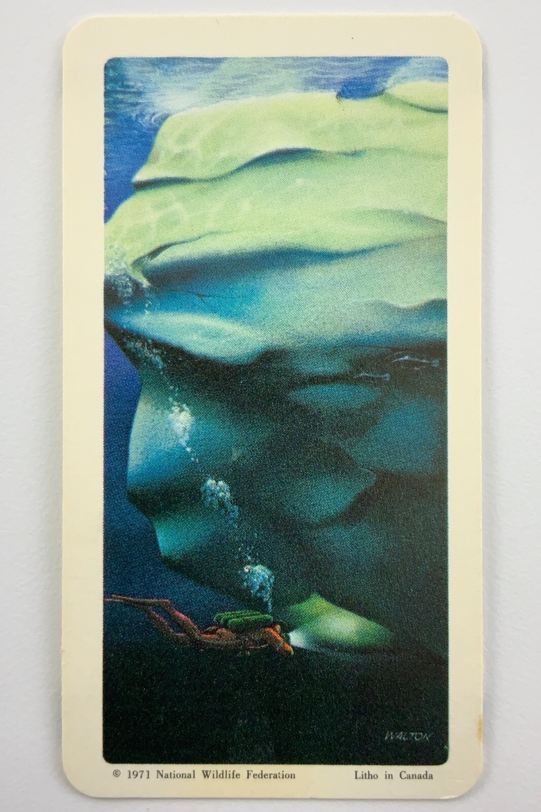 Exploring The Ocean Ice Diving No 18 Brooke Bond Tea Card CC647