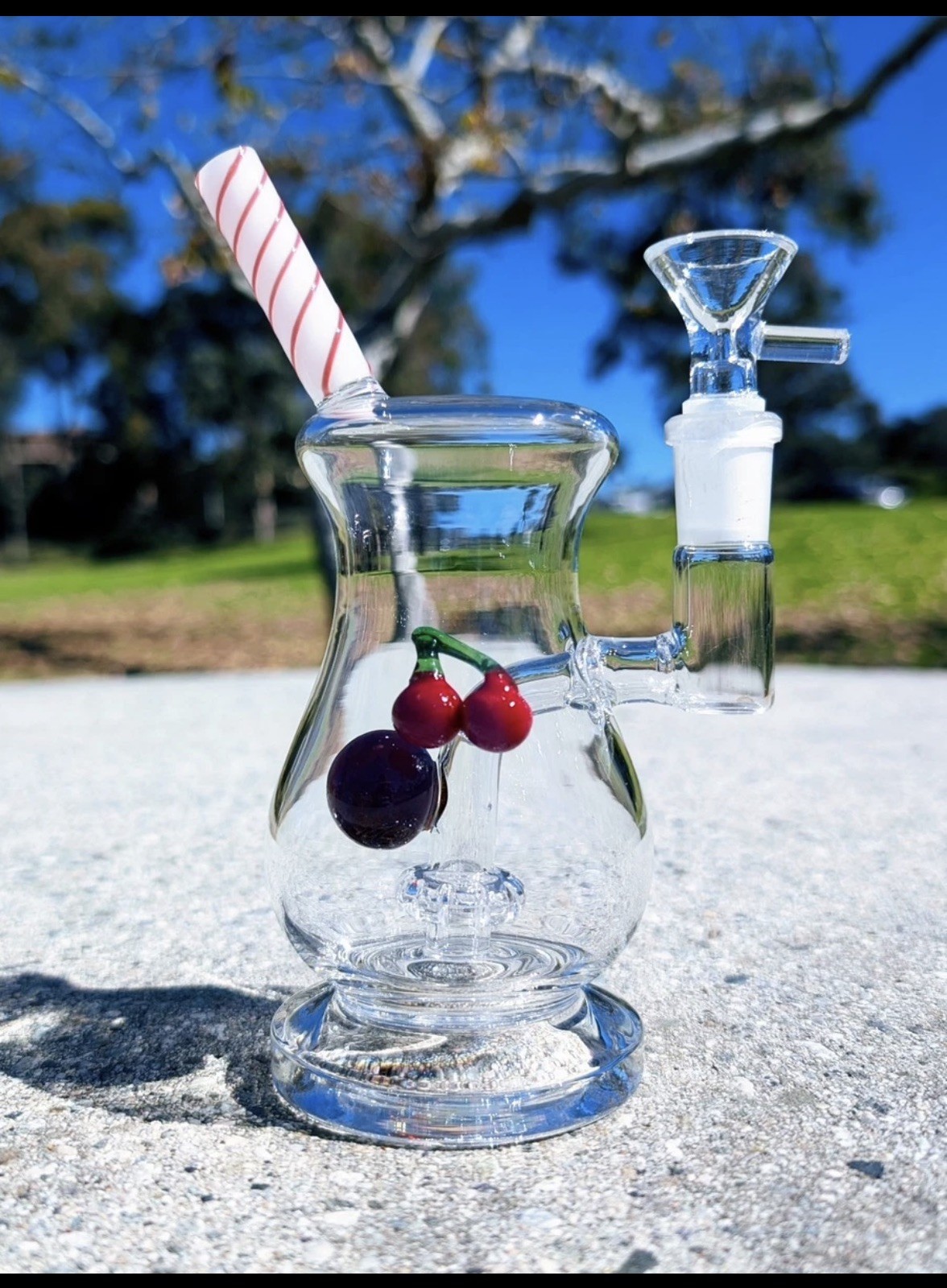 7″ Cute Cherry Float Bong Showerhead Perc Premium Quality Water Pipe Hookah