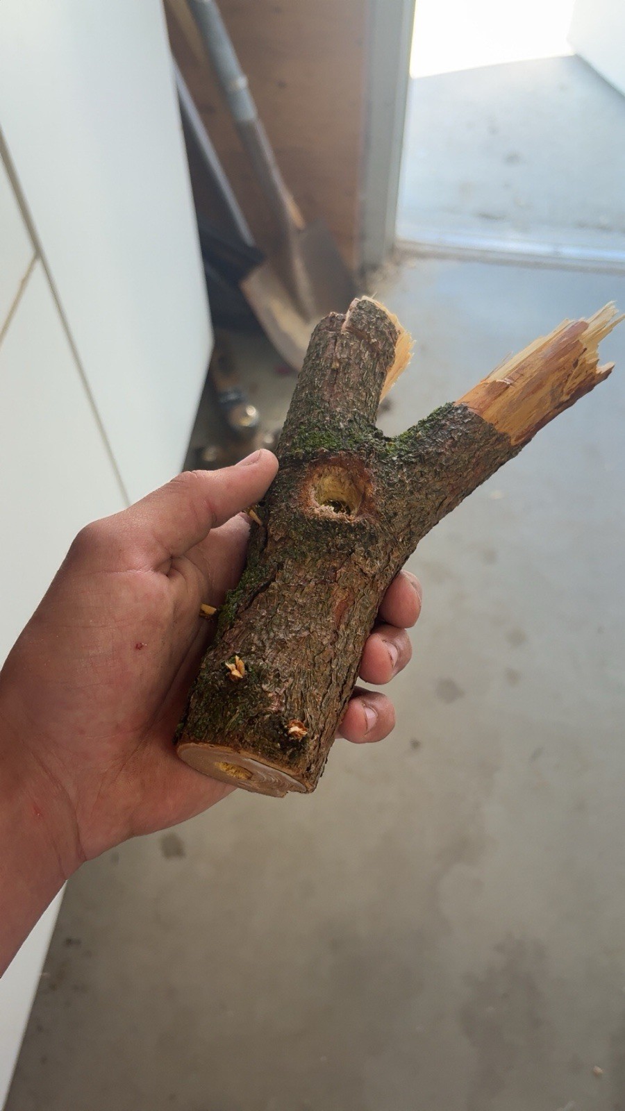 Homemade Wooden Pipes For Tabacco or Herb (Tree Branch Pipes)
