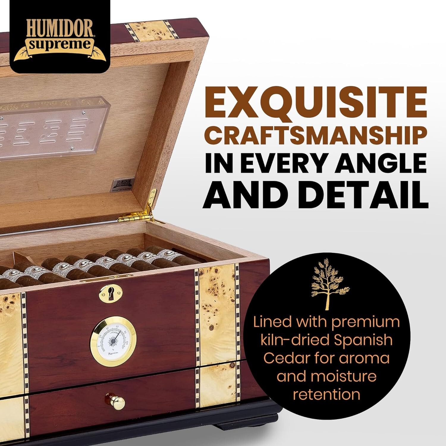 Solana Desktop Cigar Humidor, Rosewood W/ Maple-Burled Wood Inlay, Spanish Cedar