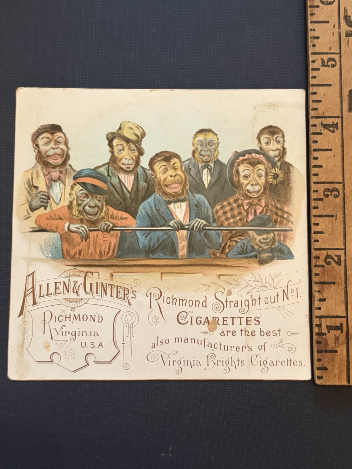 1880s Allen Ginter Monkey Theater Trade Card Richmond Straight Cut Cigarettes VA