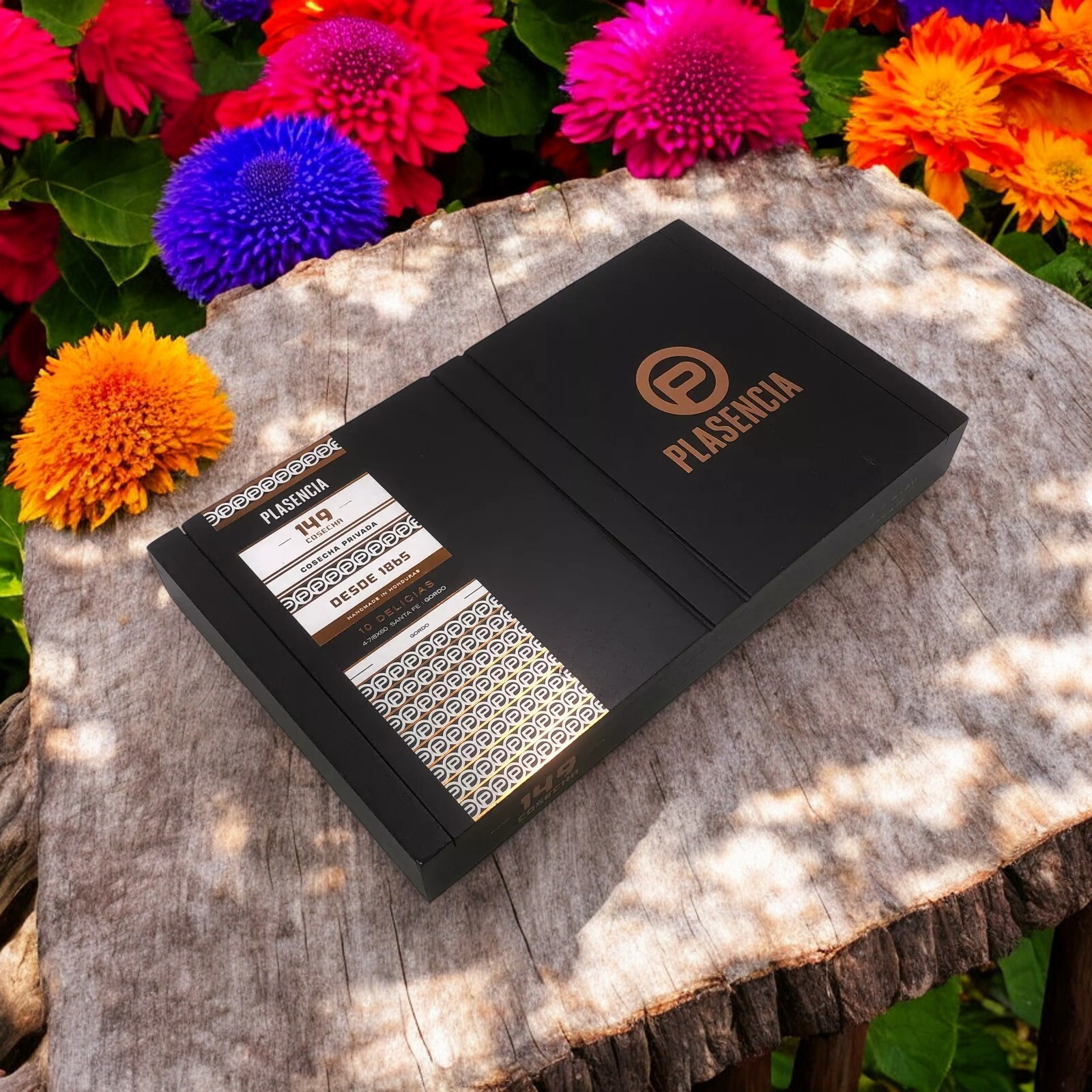 Plasencia 149 Cosecha Gordo Empty Wooden Cigar Box 10.5×6.25×1.25 (1)
