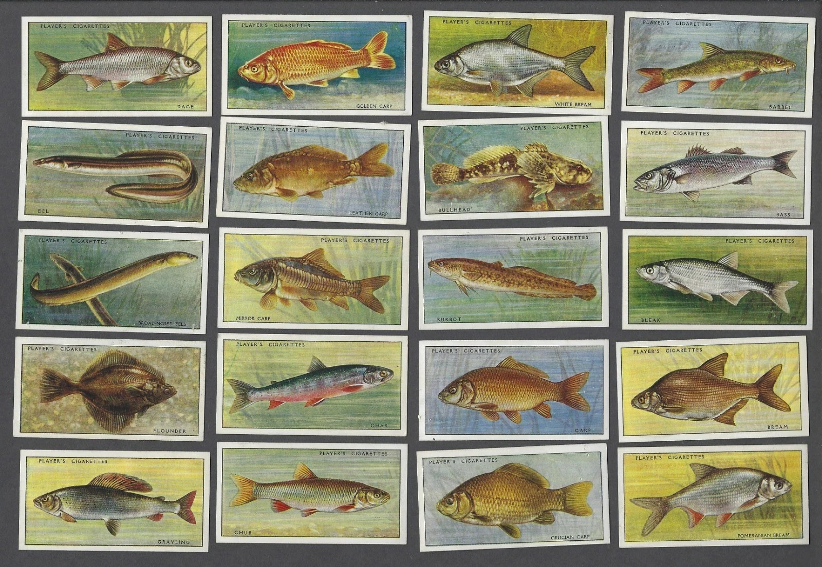 1934 JOHN PLAYER & SONS FRESH WATER FISHES 50 TOBACCO CARD SET