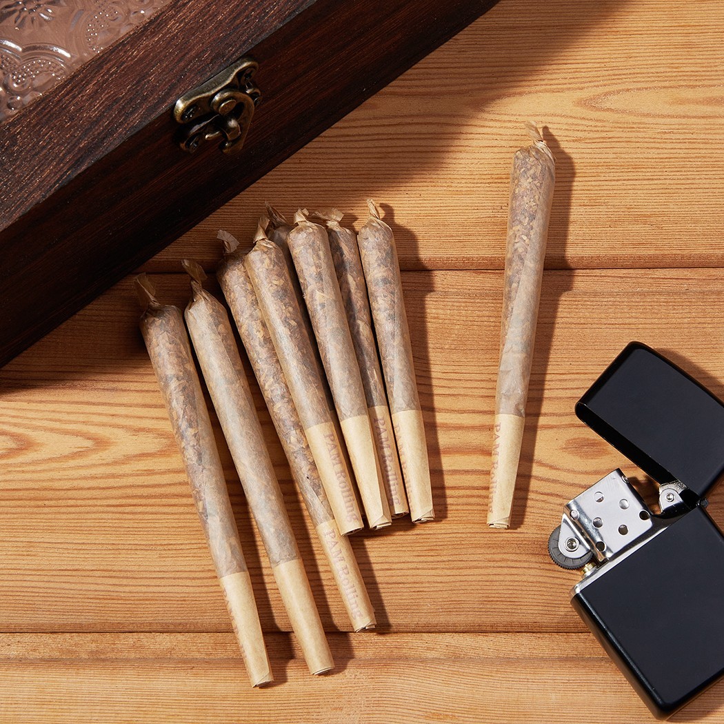 300Pack 1 1/4 Size W/Filter Tip Pre Rolled Cones with Cone Loader Stick and Tube