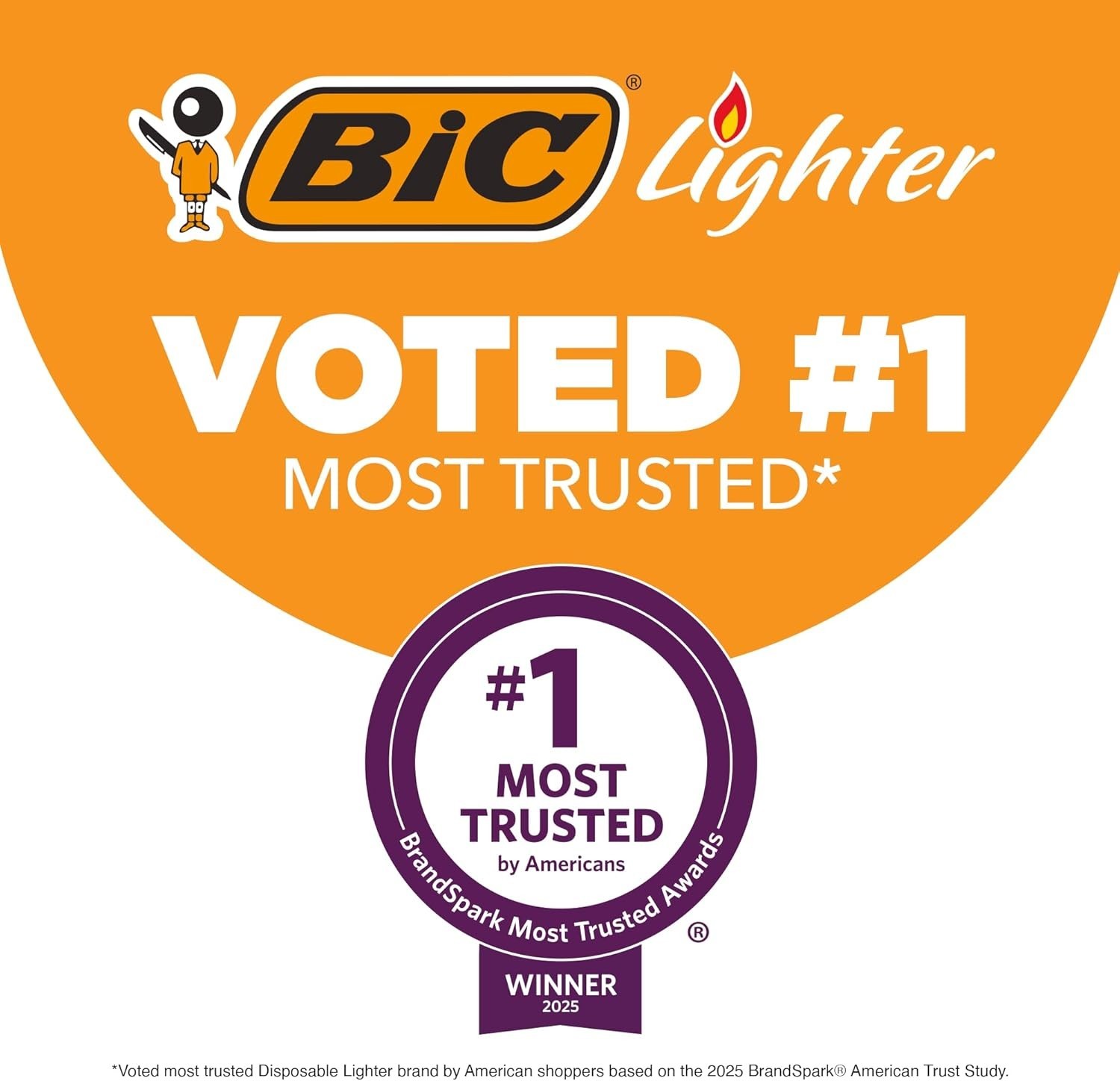 BIC Mini Pocket Lighters, Fashion Assorted Colors, 10-Pack of Lighters