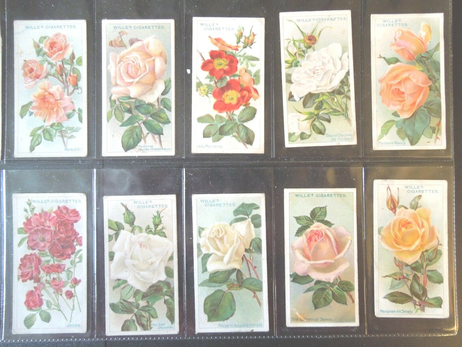 1912 Wills ROSES flowers garden plants Tobacco cards complete VG. 50 card set