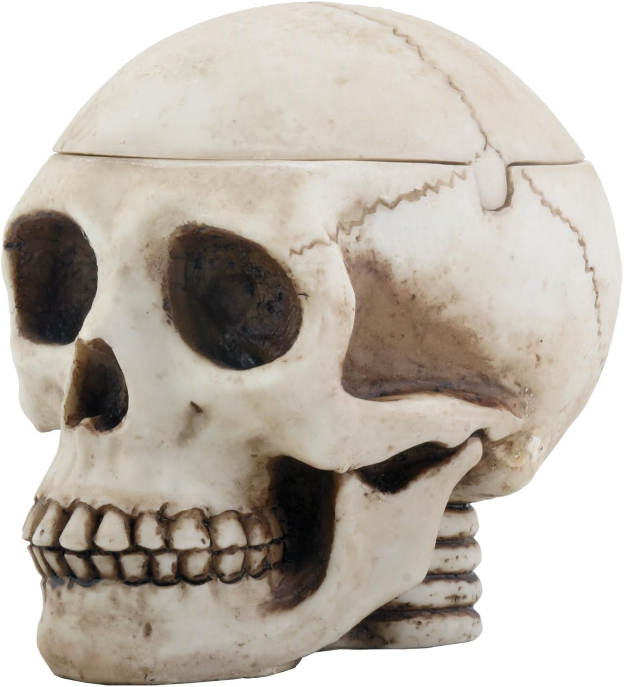 Skull Head Box Ashtray Display Decoration