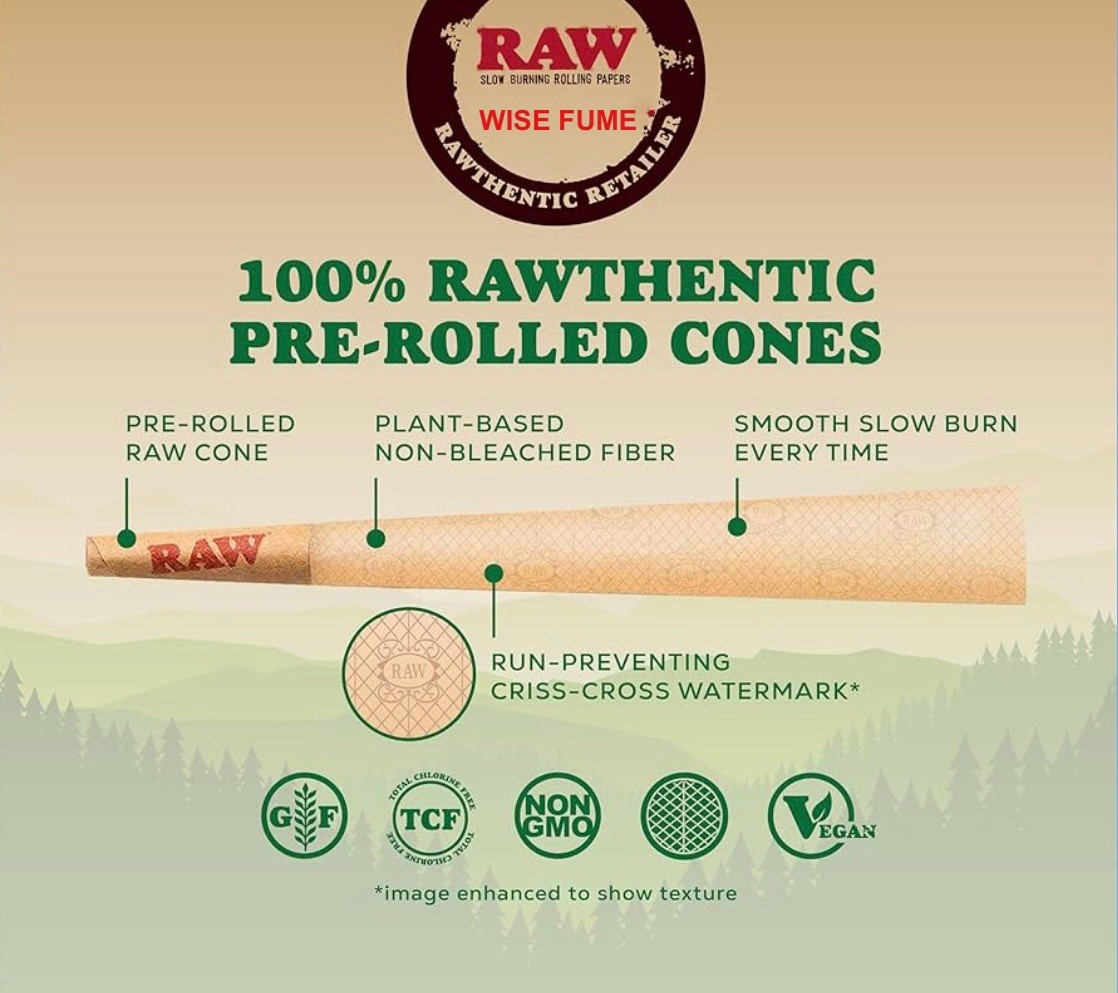 RAW classic king size pre rolled cone with tip (200 pack)+safety lock odor tube
